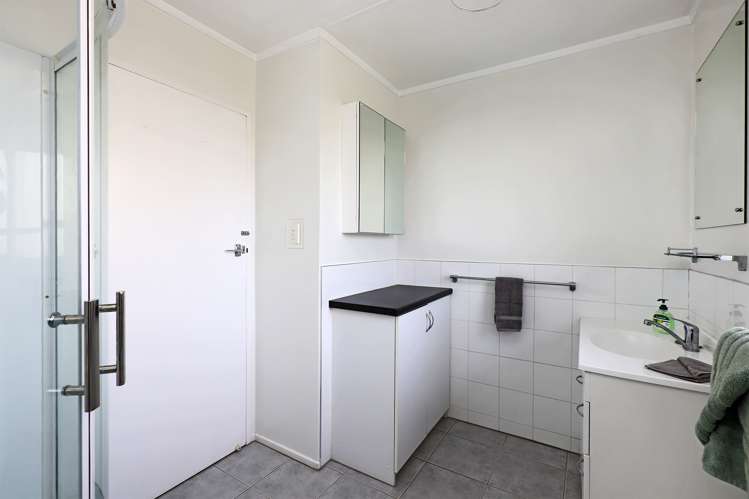 27 Donegal Crescent Tamatea_8