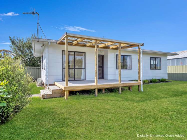 15b Douglas Street Levin_1
