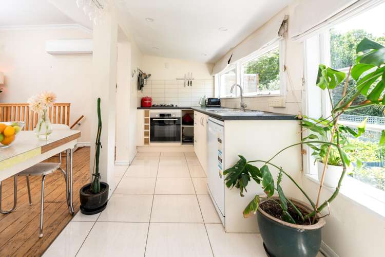 36 Aro Street Aro Valley_3