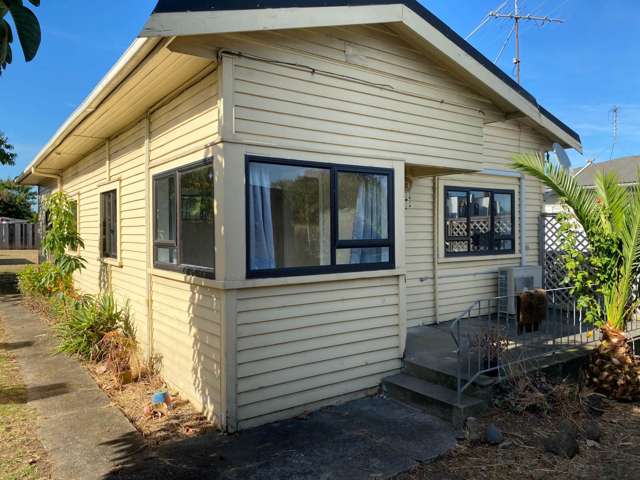 93 Princes Street Otahuhu_1