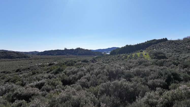 105 Frantoio Ridge Road Mangonui_15