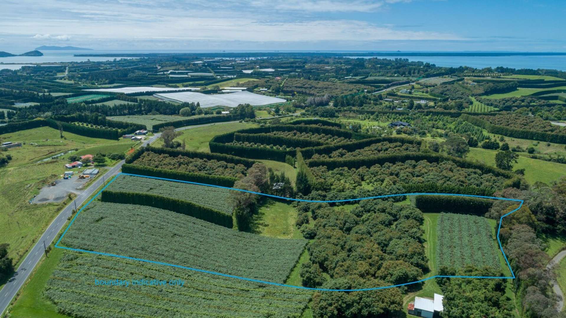 56 Kauri Point Road Katikati_0