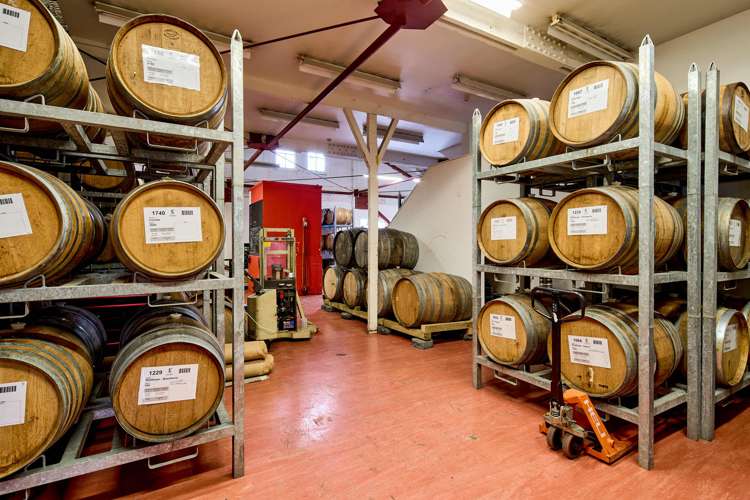 7 Marion Street Te Aro_13