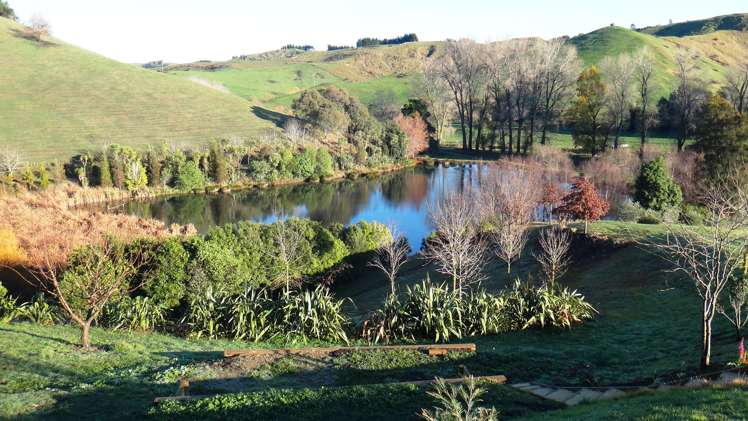 135 Ballantyne Road Poraiti_0