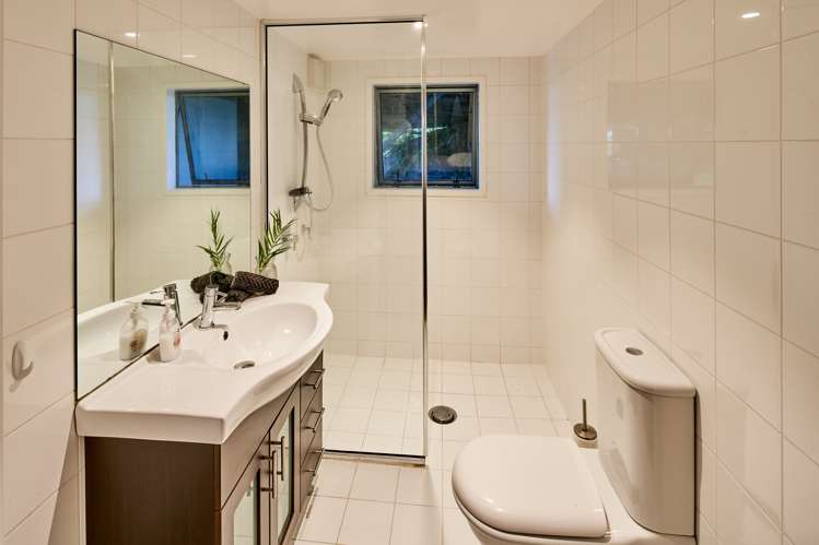 21 Dillon Street Lowry Bay_9