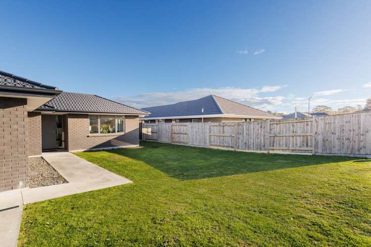 71 North Street Ashhurst_20