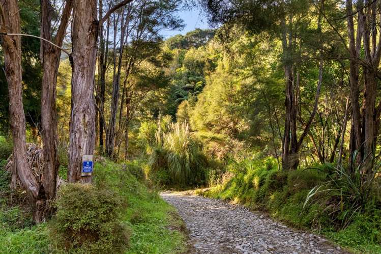 240 Cave Road Waimata_15