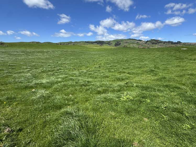 530 Mangatutu Rd RD3 Maihiihi_3