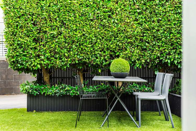 17a Thatcher Street Mission Bay_23