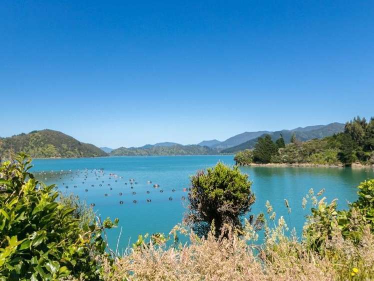 Waitaria Bay Kenepuru Sound_9