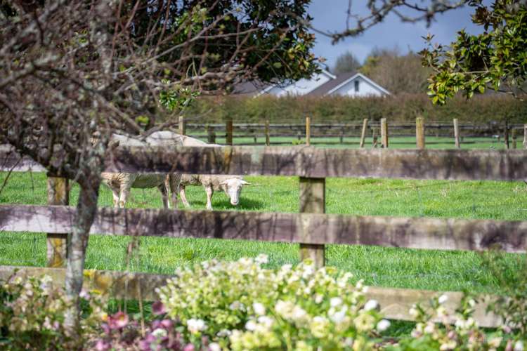 67d Davison Road Newstead_33