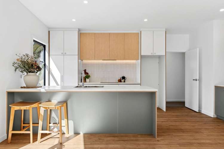 8 Golden Elm Rise Toi Toi_9