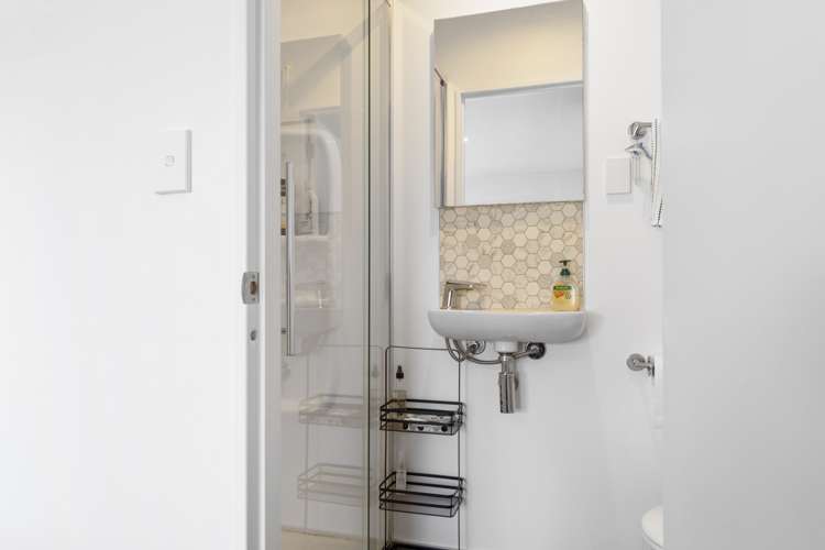 213 Bellevue Road Bellevue_15