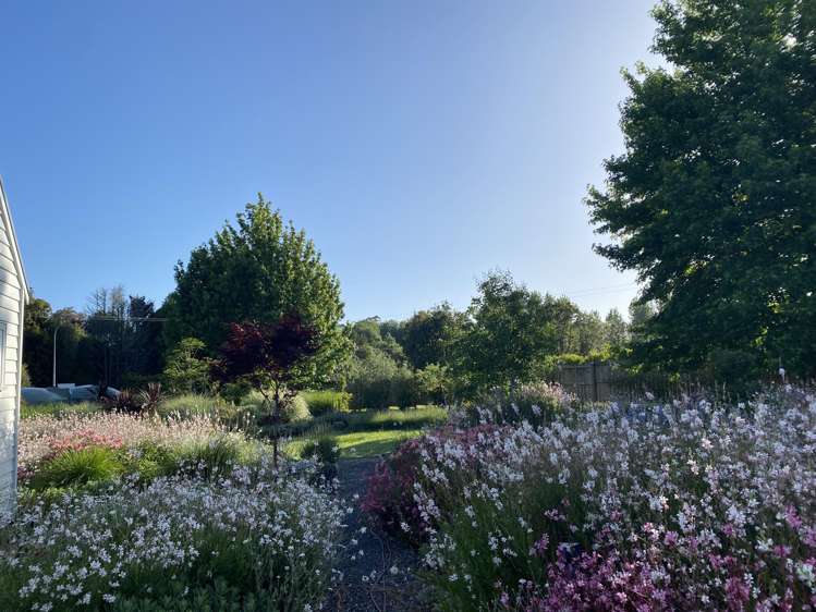 6 Retreat Road Haruru_13