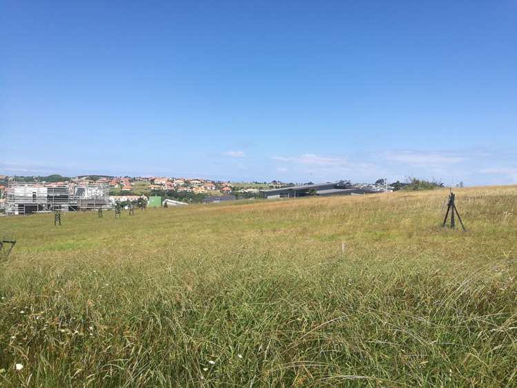 5 Laguna Place Matakatia_3