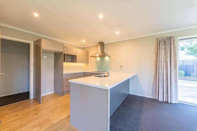 204 Talbot Street Geraldine_9