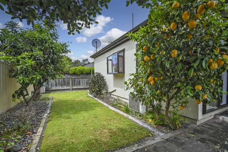 2/1214 Howard Street Parkvale_13