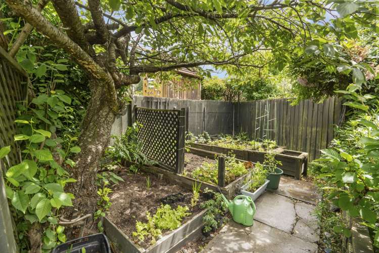 9 Kanuku Place Cashmere_15