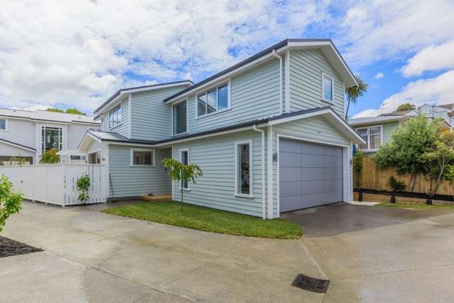 31d Willcott Street Mount Albert_1