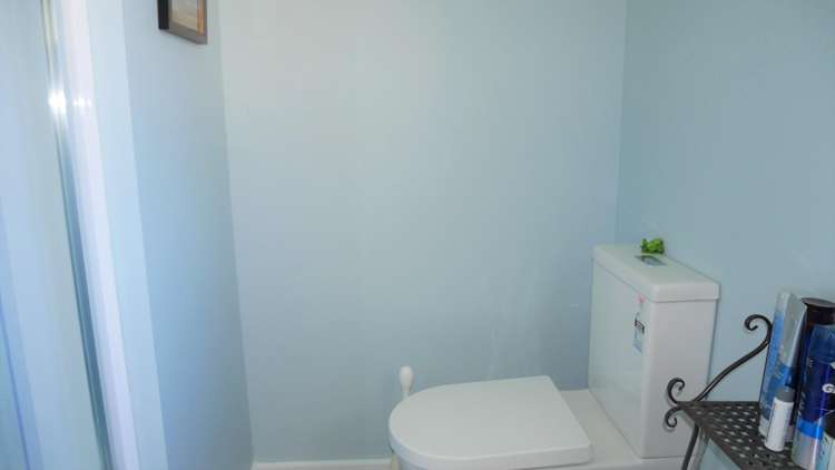 103 Buckland Street Putaruru_17