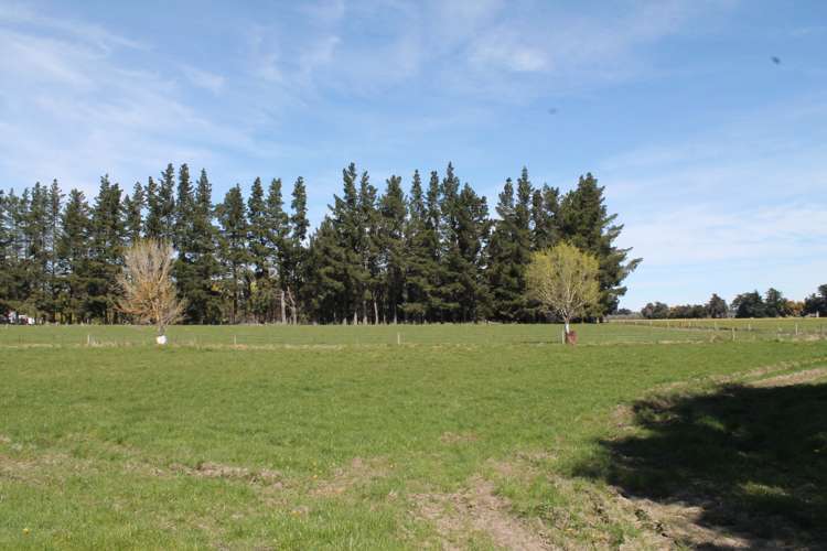 47 Munro Road Cheviot_13