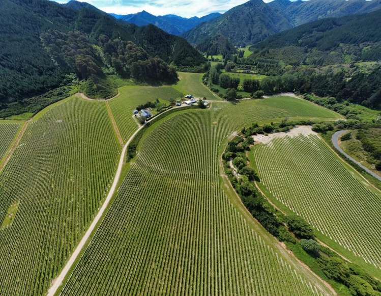 596 Kaituna Tuamarina Road Tuamarina_1