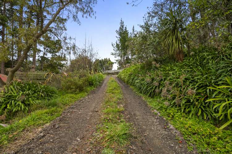 111 Hastings Street Halcombe_9