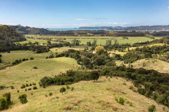 168 Moewai Road Whitianga_2