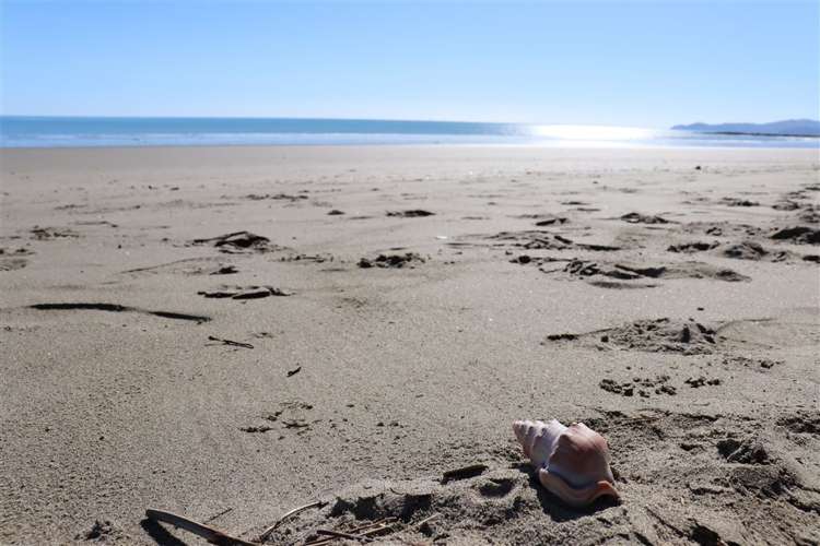 120 Patons Rock Road Kahurangi National Park_18