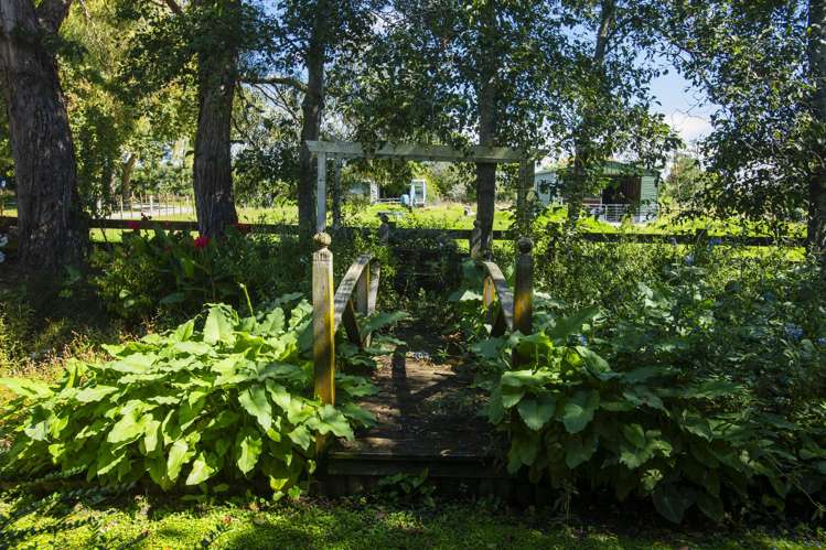 140 Hansen Road Makauri_17