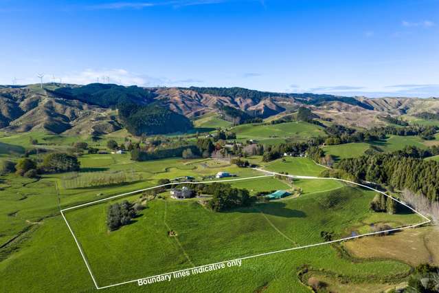 143 Pond Road Raglan_4