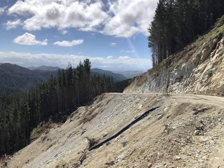 Duncan Road Waimata_11