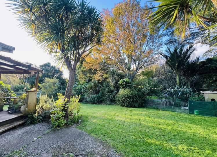 2628G Rings Road Coromandel_30