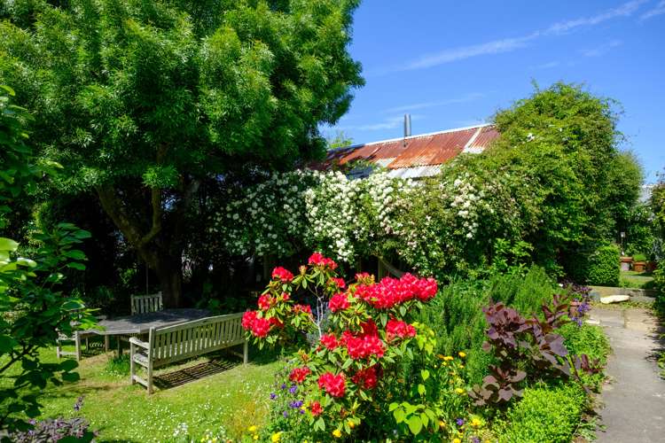 48 Melville Street Dunedin Central_19