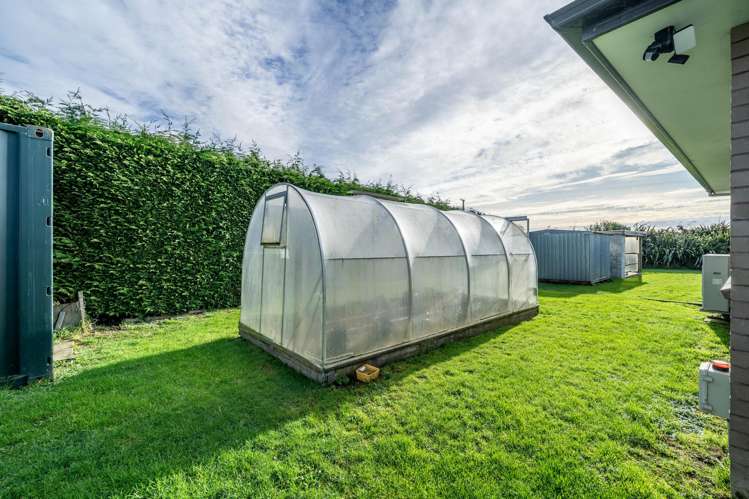 20 Majestic Chance Seaward Bush_20