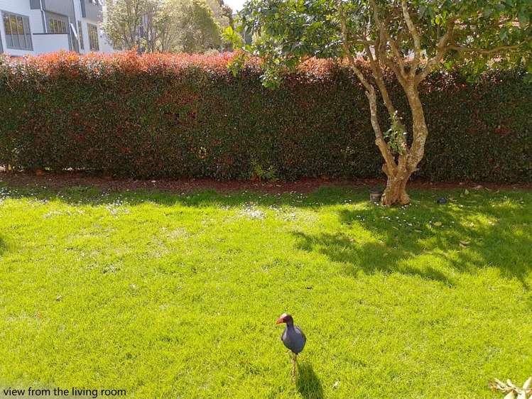 3/189 Hendon Avenue Mount Albert_25