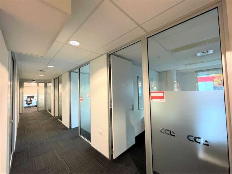 5 Durham Street South Sydenham_5