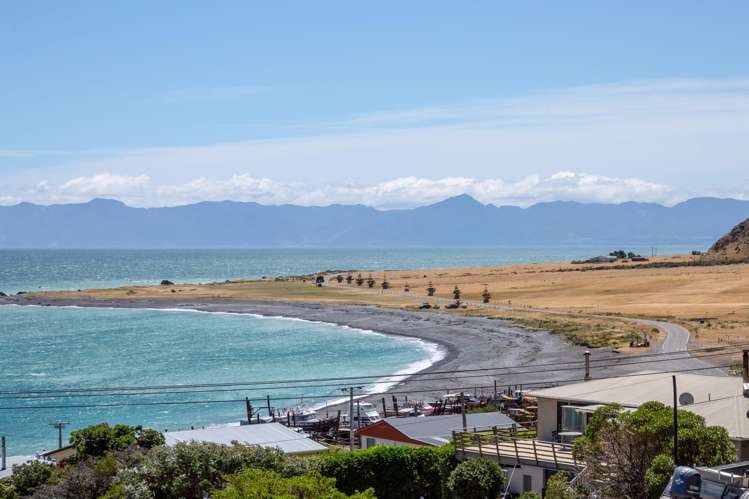 44 Seaview Avenue Cape Palliser_11