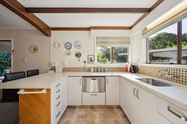45 Leefield Street Blenheim_4