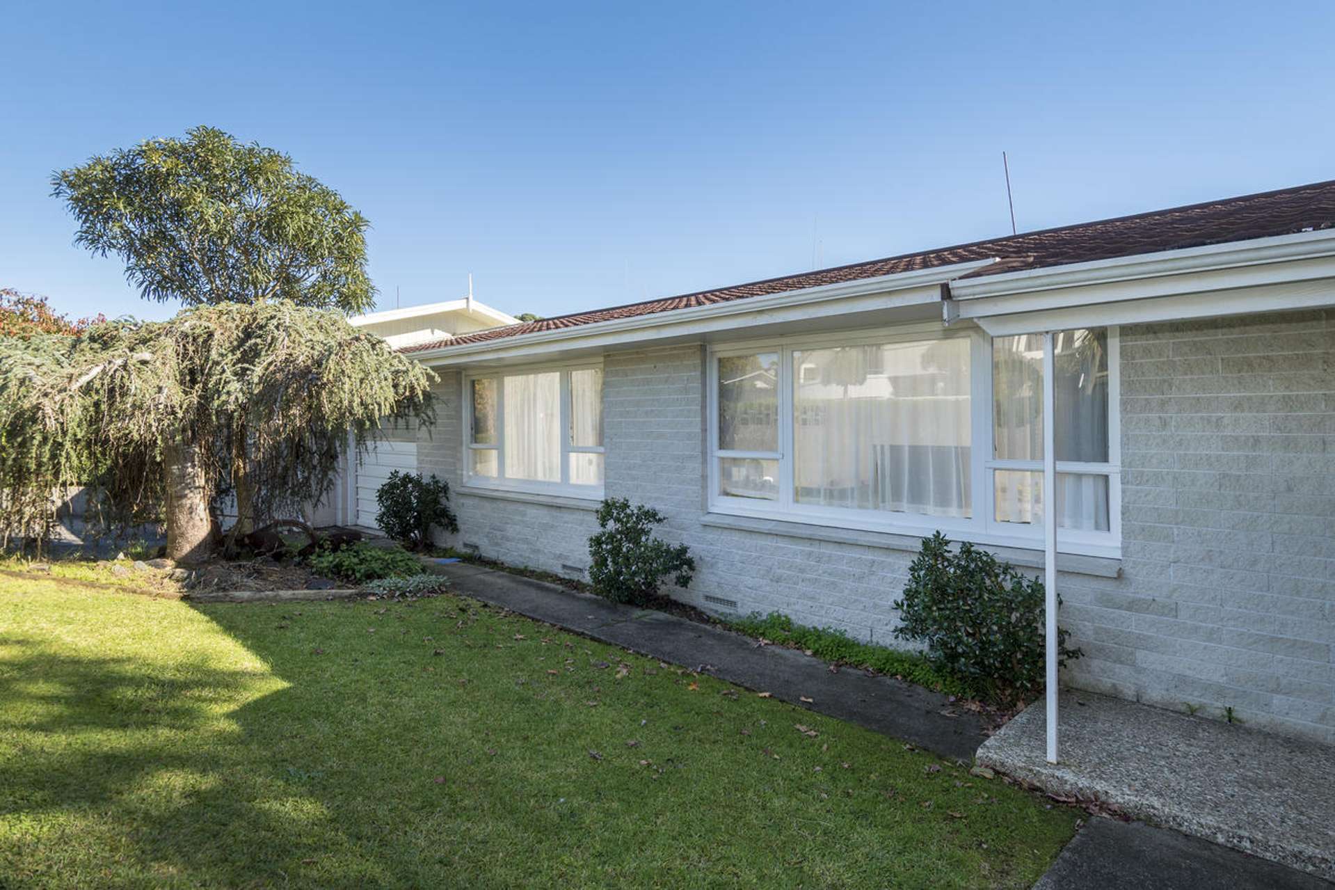 1a Mahoe Street Matua_0