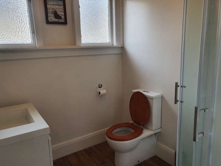 1 Antrim Street Sydenham_15