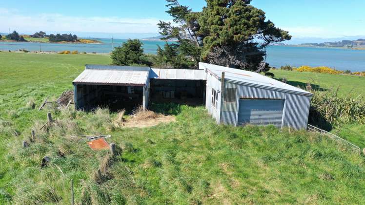 3 Colyers Island Road Greenhills_20