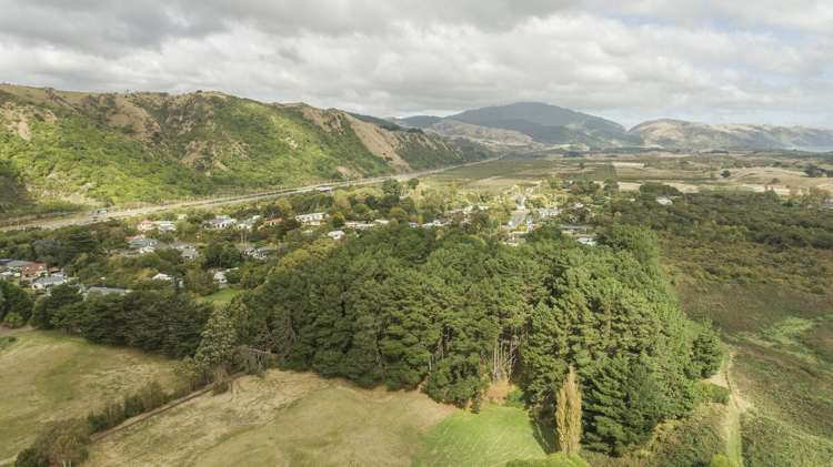 63-69 Leinster Avenue Raumati South_14