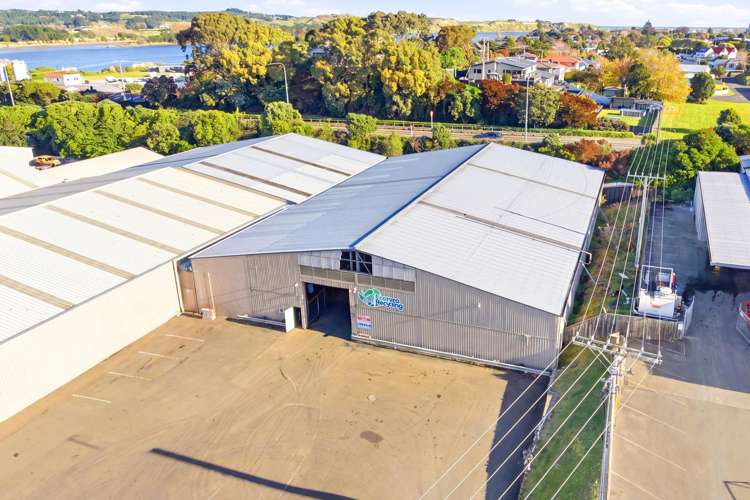 1B Liffiton Street Gonville_9
