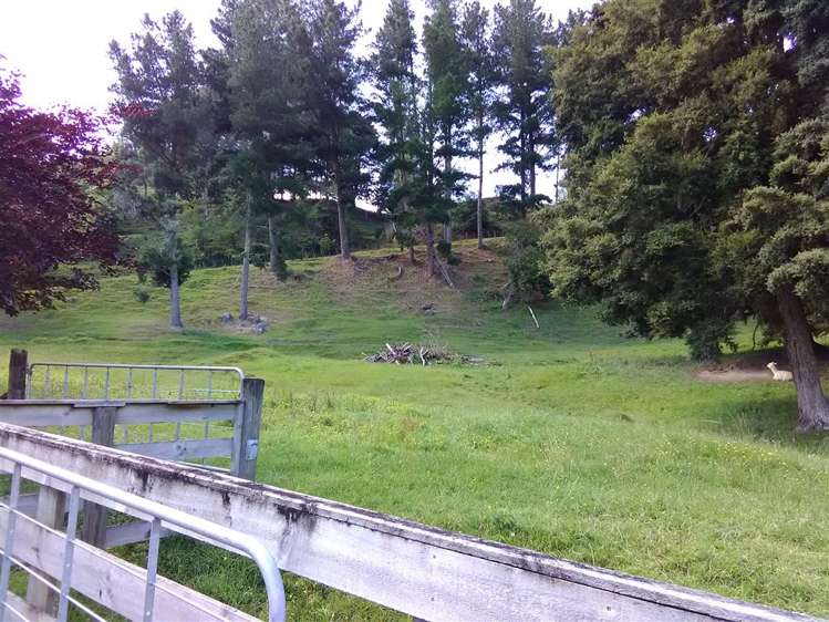 453 Kururau Road Taumarunui_8