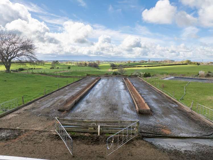 180 Cameron Road Morrinsville_11