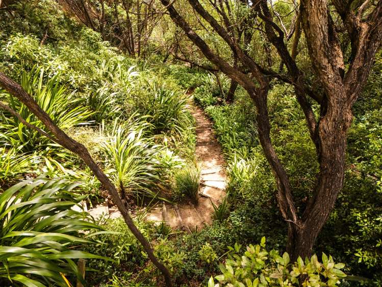 6506 Christchurch Akaroa Road Robinsons Bay_15