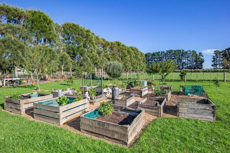 25 Boulton Road Levin_15