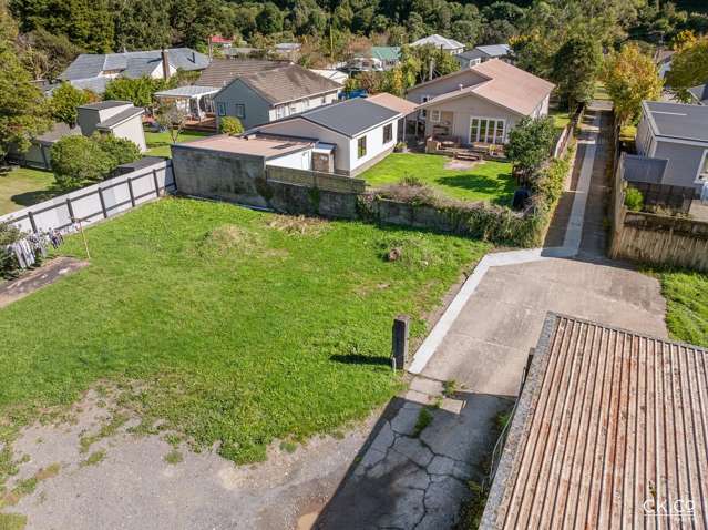 15B Black Beech Birchville_3