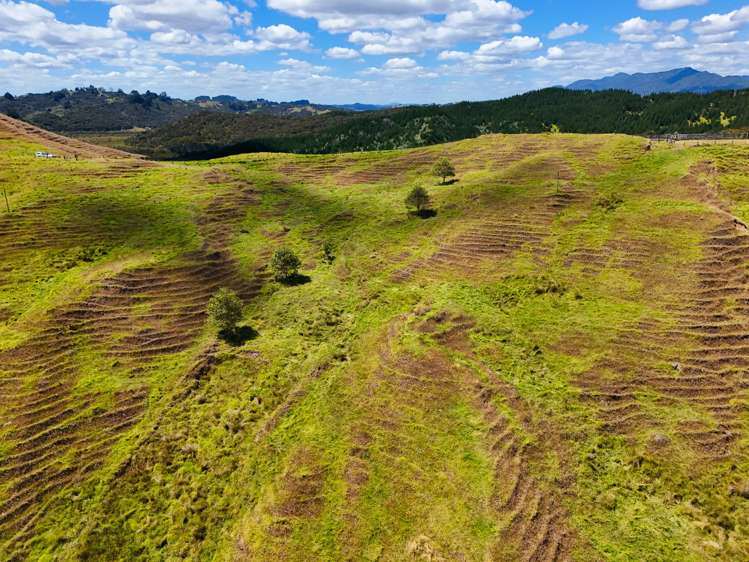 Brindle Road Opononi_20